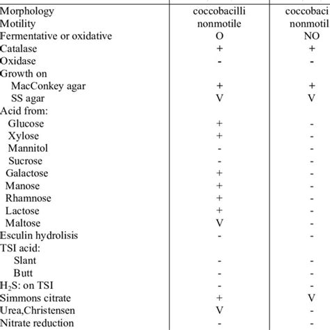 acinetobacter biochemical test|(PDF) Cultural and biochemical characteristics of .